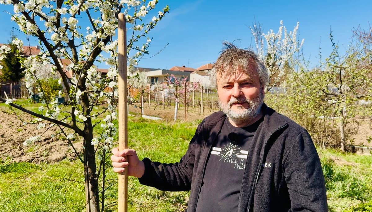A hoe versus a tractor in the vineyard: How we look after our vineyards using organic methods