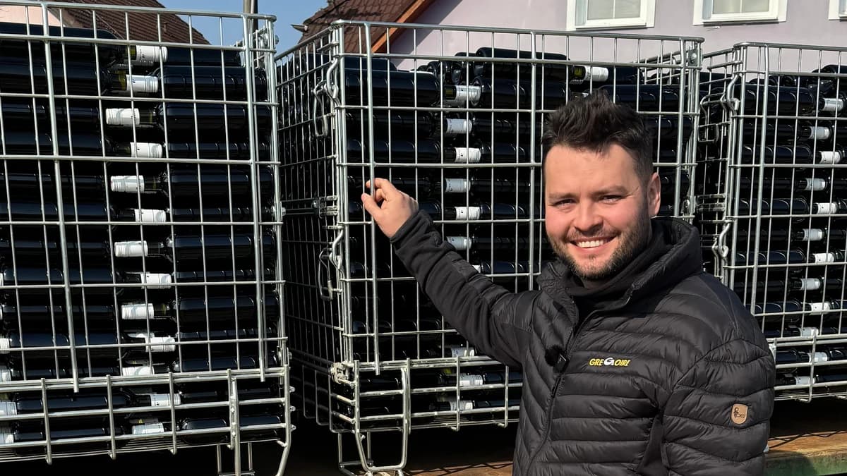 The wine journey: bottling, labelling and dispatch