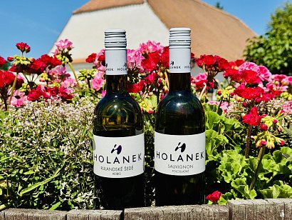 Akce na Sauvignon polosladký a suché Rulandské šedé