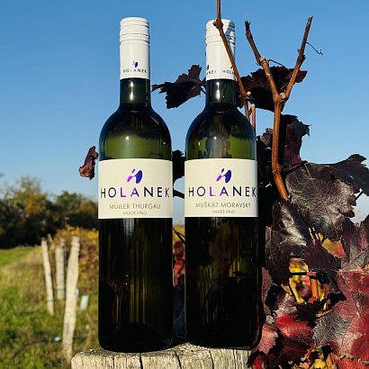 Mladá vína v prodeji