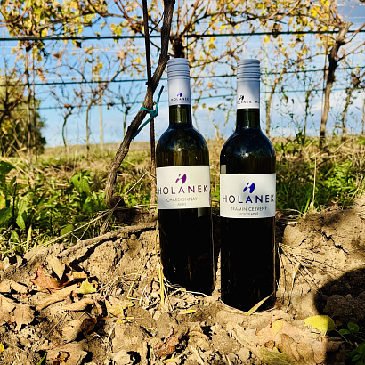 AKCE - Tramín červený, polosladký a Chardonnay, suché