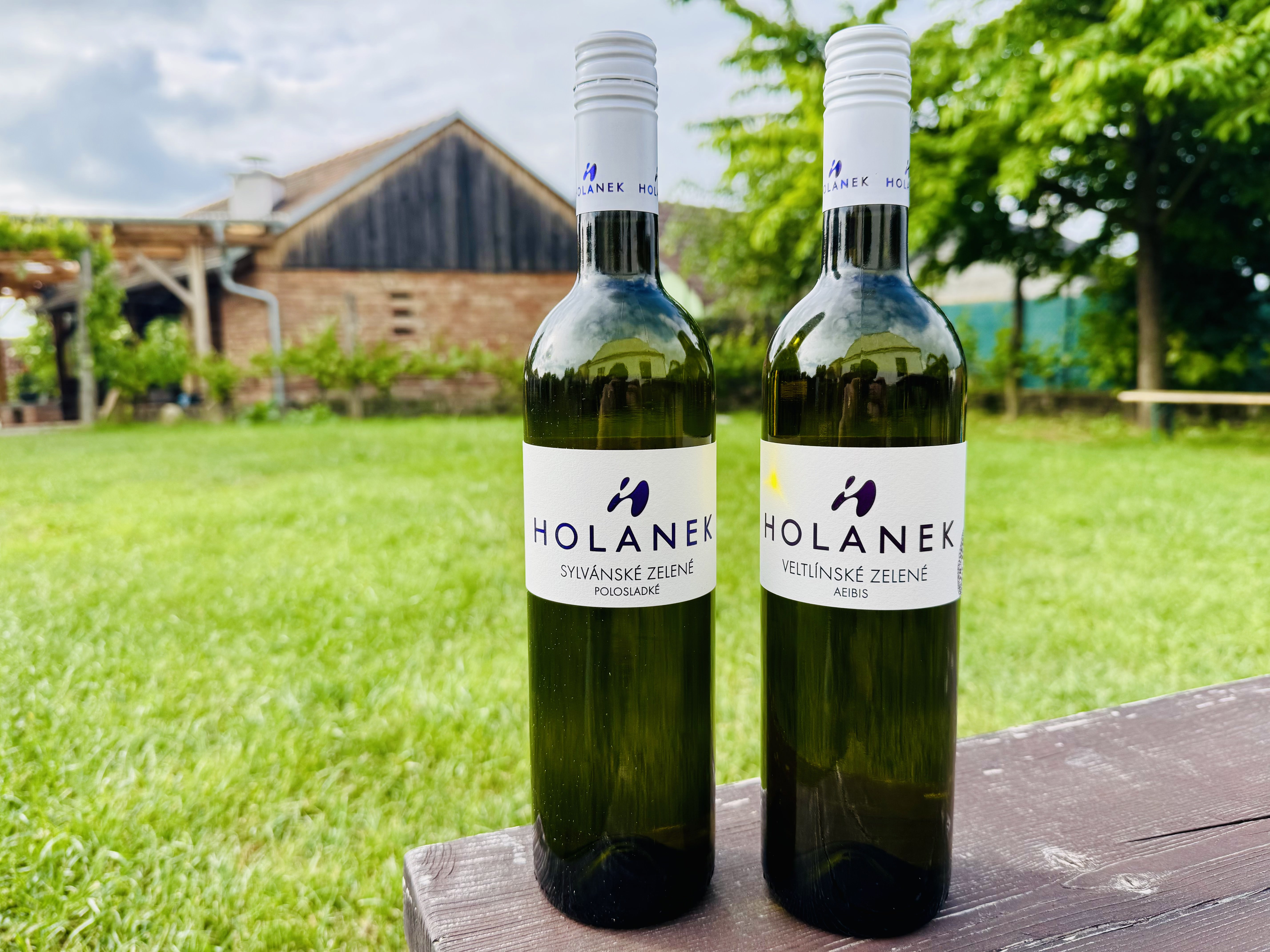 AKCE - Sylvánské zelené a Veltlínské zelené