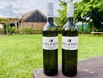 AKCE - Sylvánské zelené a Veltlínské zelené