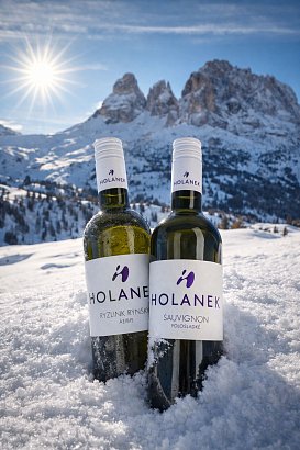 AKCE - Sauvignon a Ryzlink rýnský