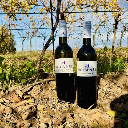 AKCE - Tramín červený, polosladký a Chardonnay, suché