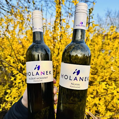 AKCE na Pálavu polosladkou, Muškát moravský polosuchý