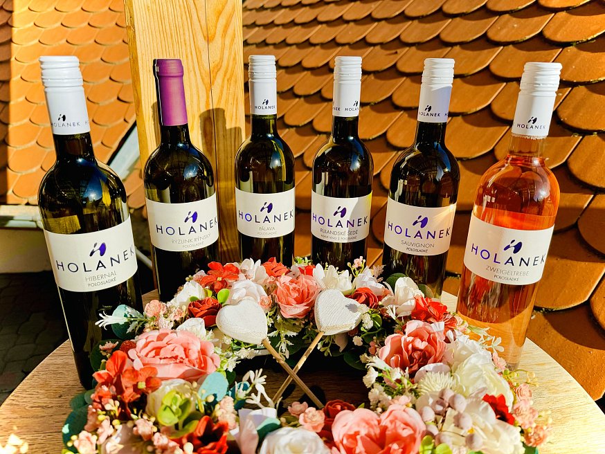 Degustace vín